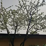 Hotel Oasi Del Benessere 3*