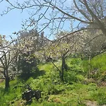 Hotel Oasi Del Benessere