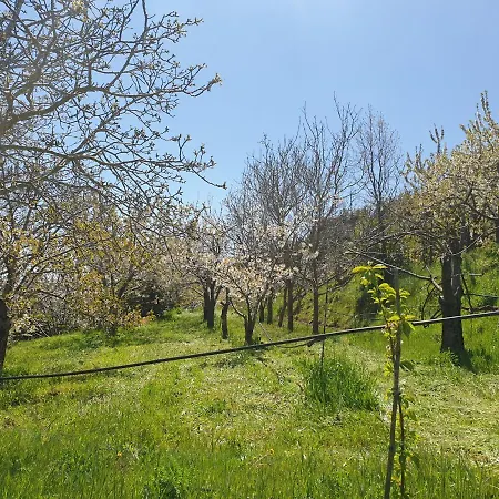 Oasi Del Benessere Отель Ilbono
