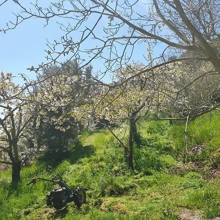 Отель Oasi Del Benessere