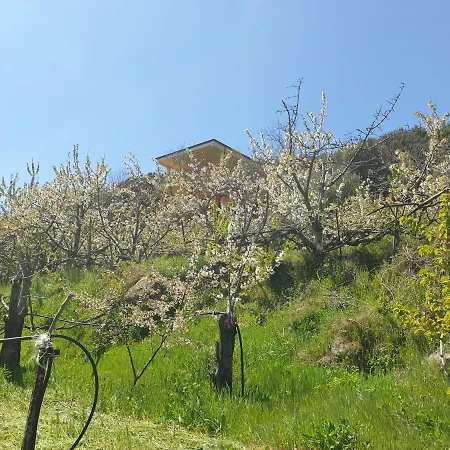 Oasi Del Benessere