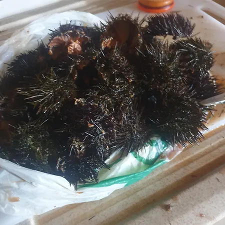 Oasi Del Benessere Hotell 3*