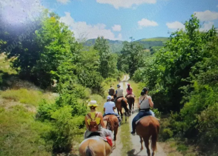 Oasi Del Benessere