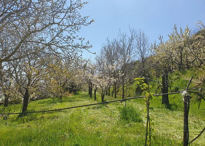 Oasi Del Benessere فندق Ilbono